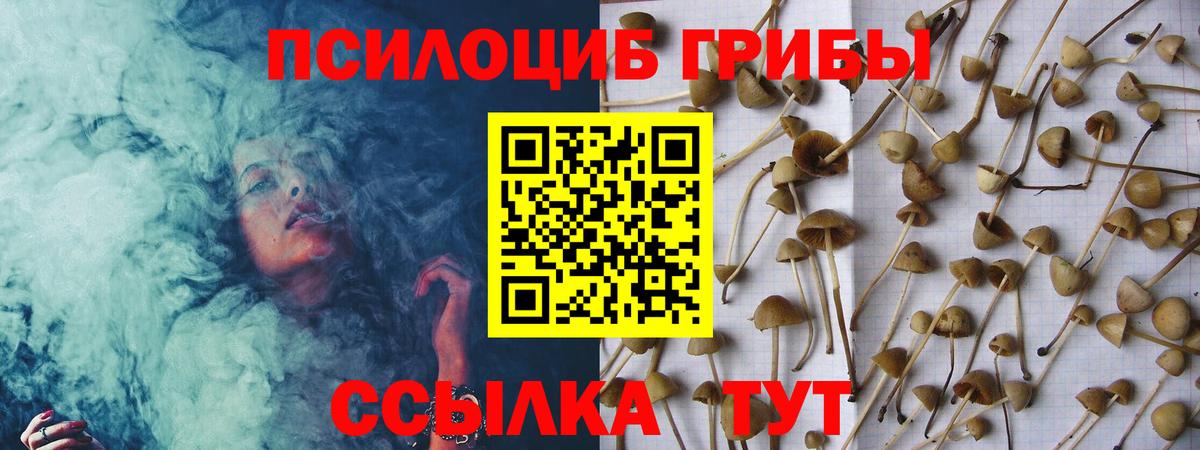 Галлюциногенные грибы Magic Shrooms Берёзовский