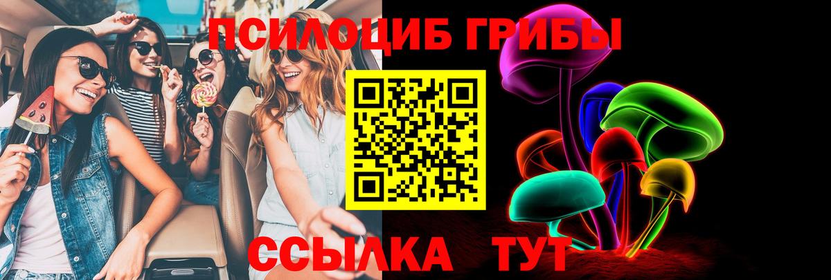 Галлюциногенные грибы Psilocybe  Вход с VPN  Берёзовский 
